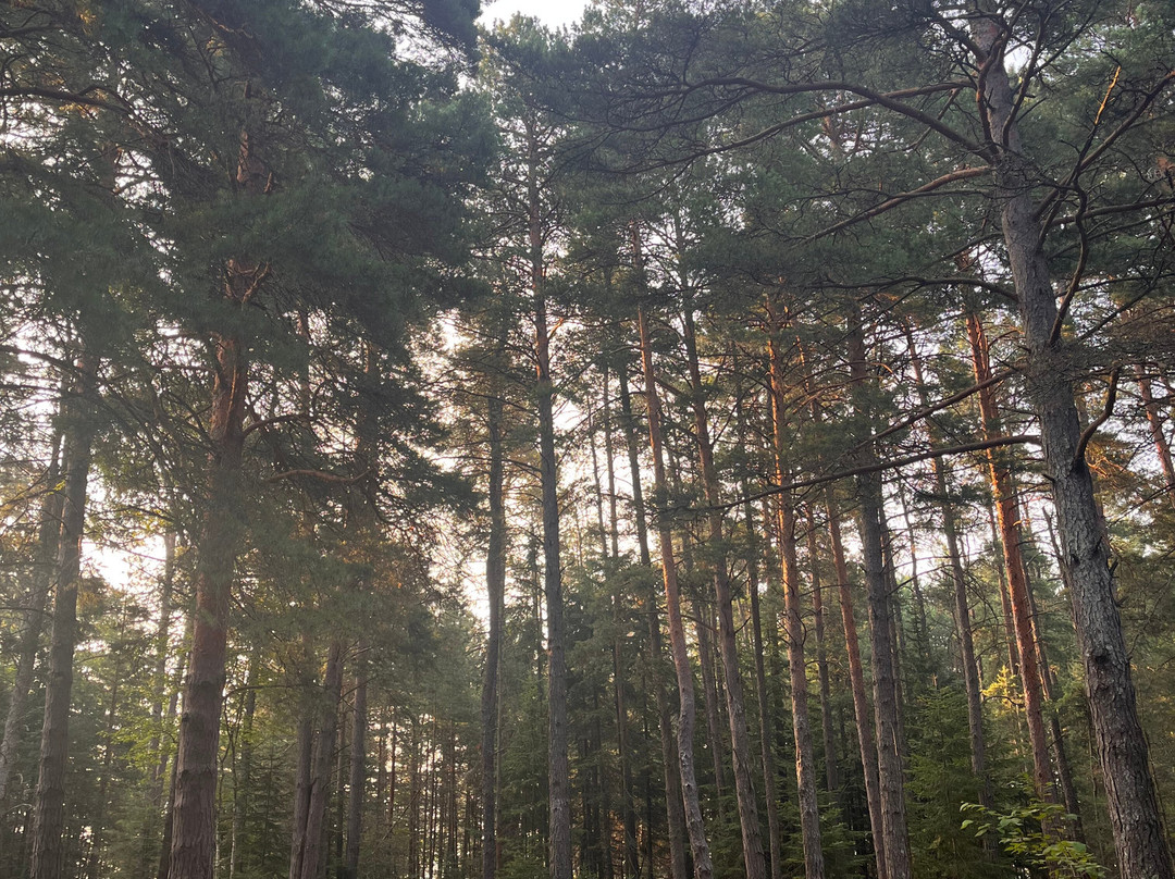Boisé du Quai-Baie-St-Paul必去景点