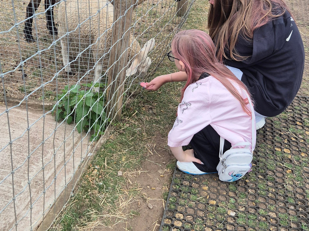 Sedgley Adventure Centre-Sedgley必去景点