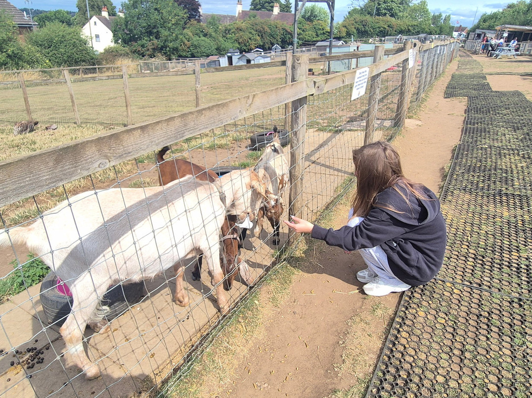 Sedgley Adventure Centre-Sedgley必去景点