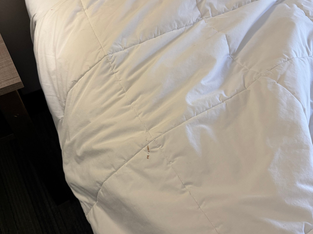 Quality Inn Warsaw Near Rappahannock River主图