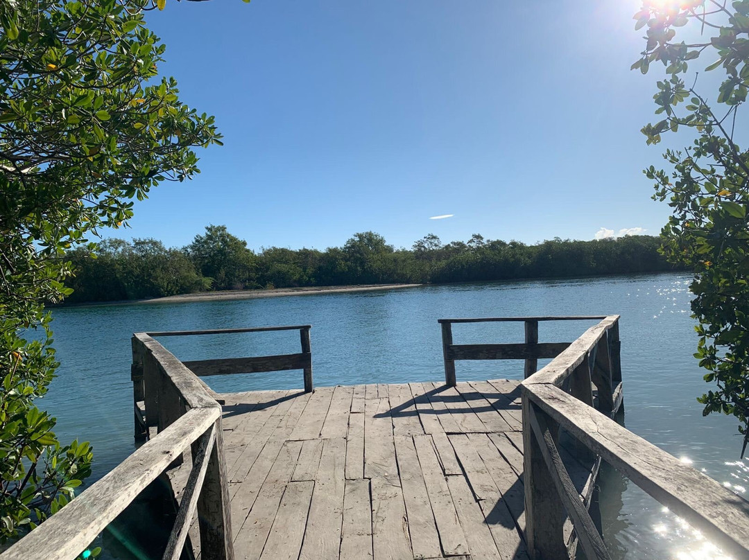 Santuario Mamíferos Marinos De Estero Hondo