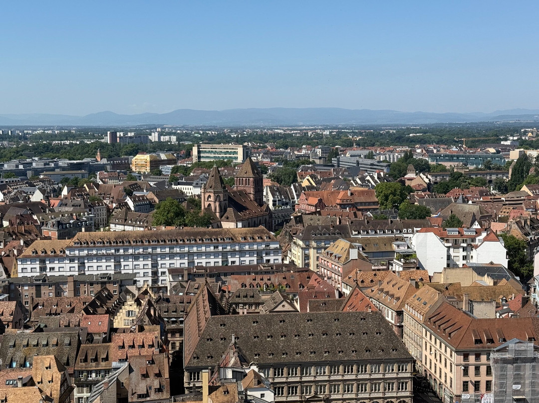 Église Saint-Thomas-斯特拉斯堡必去景点