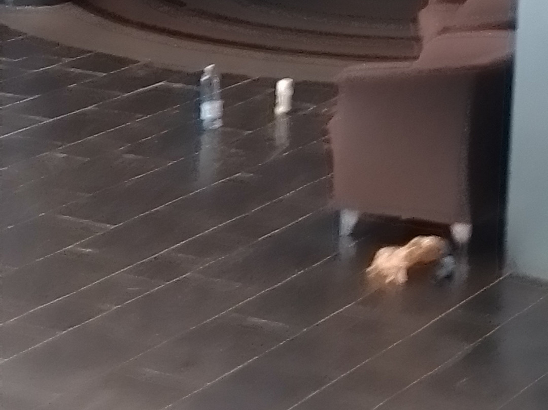 Rvhotels Spa Vila De Caldes主图