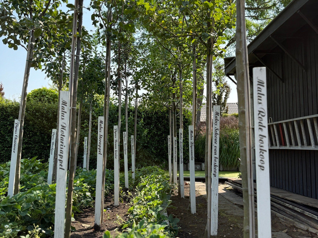 Boomkwekerijmuseum Boskoop-Boskoop必去景点