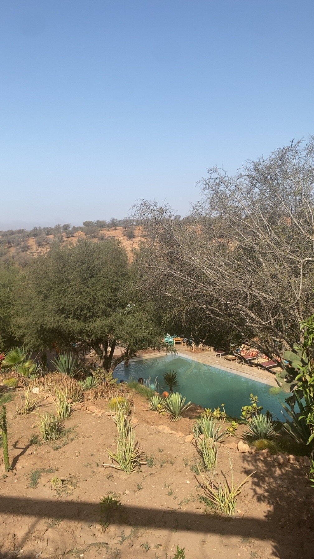 Paradis Nomade-官方