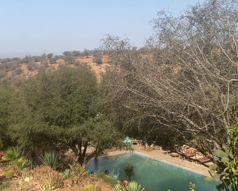 Paradis Nomade主图