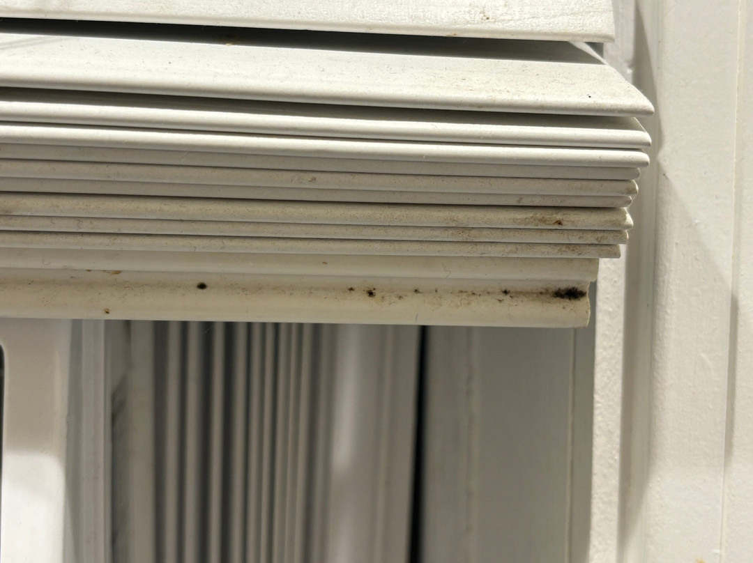 Sea Shell Motel主图