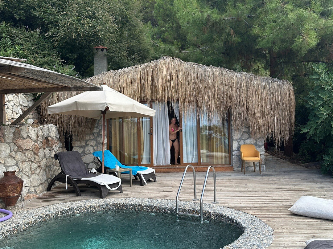 La Boheme Kabak主图