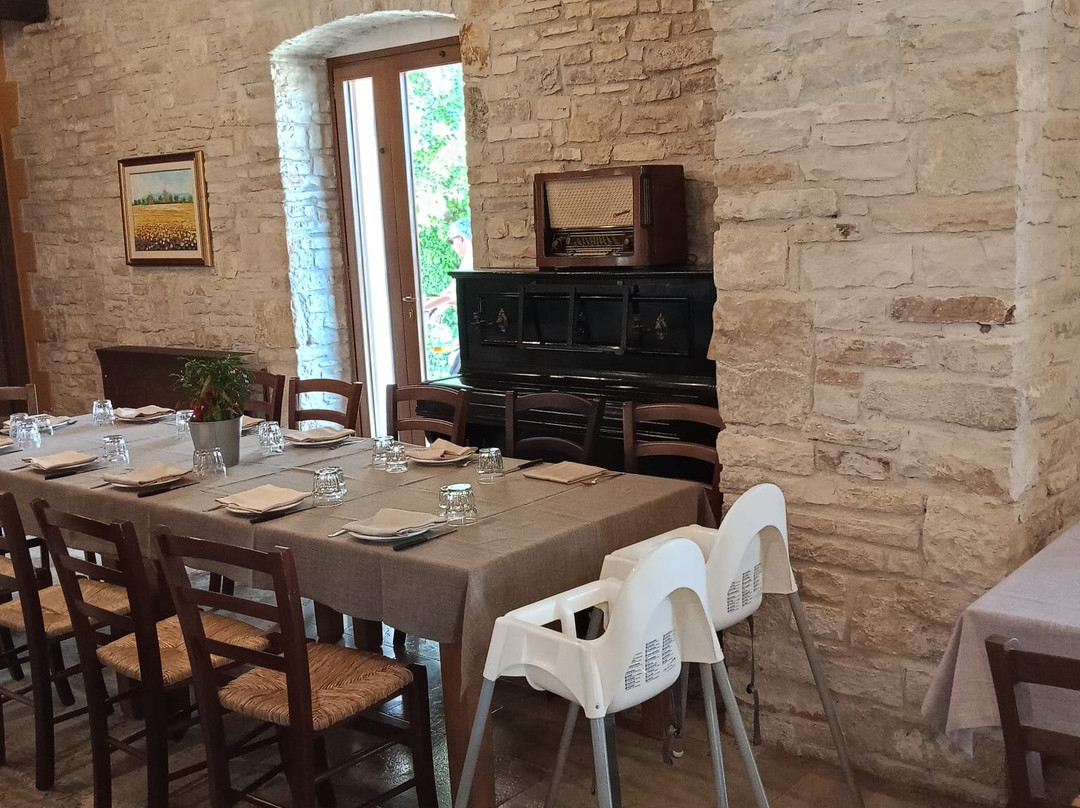 Tenuta Tedone Consolini主图