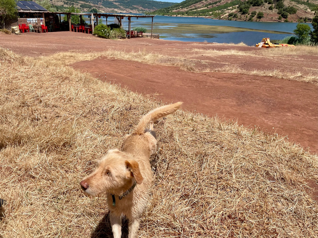 Guinguette Du Relais Nautique
