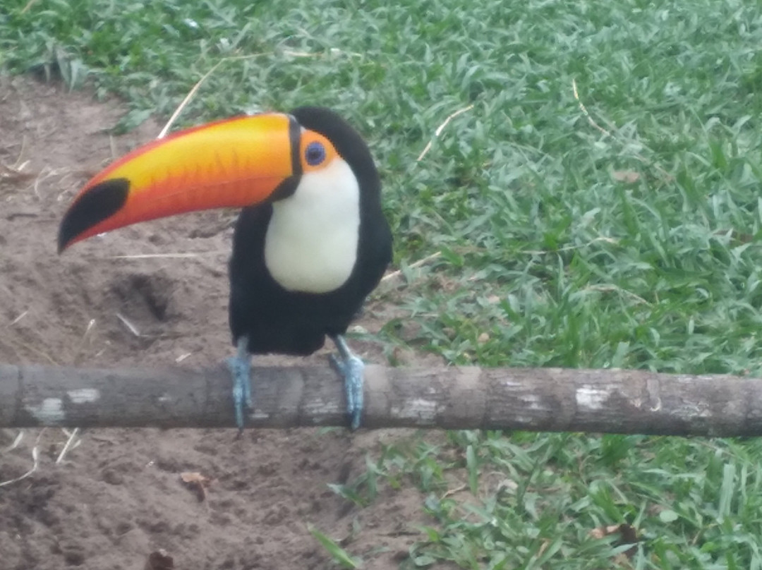 莽卡加西亚-贝伦必去景点