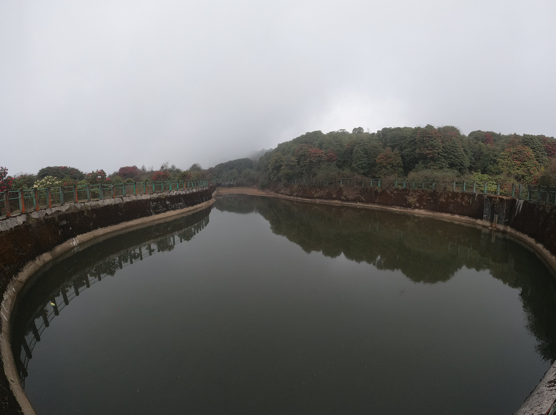 Varsey Rhododendron Sanctuary-West Sikkim必去景点