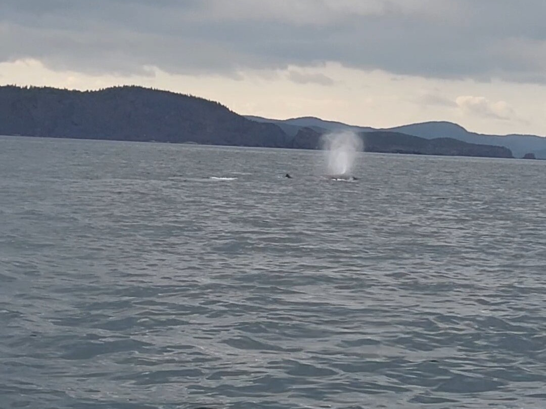 Best Kind Outdoor Connections-Triton必去景点