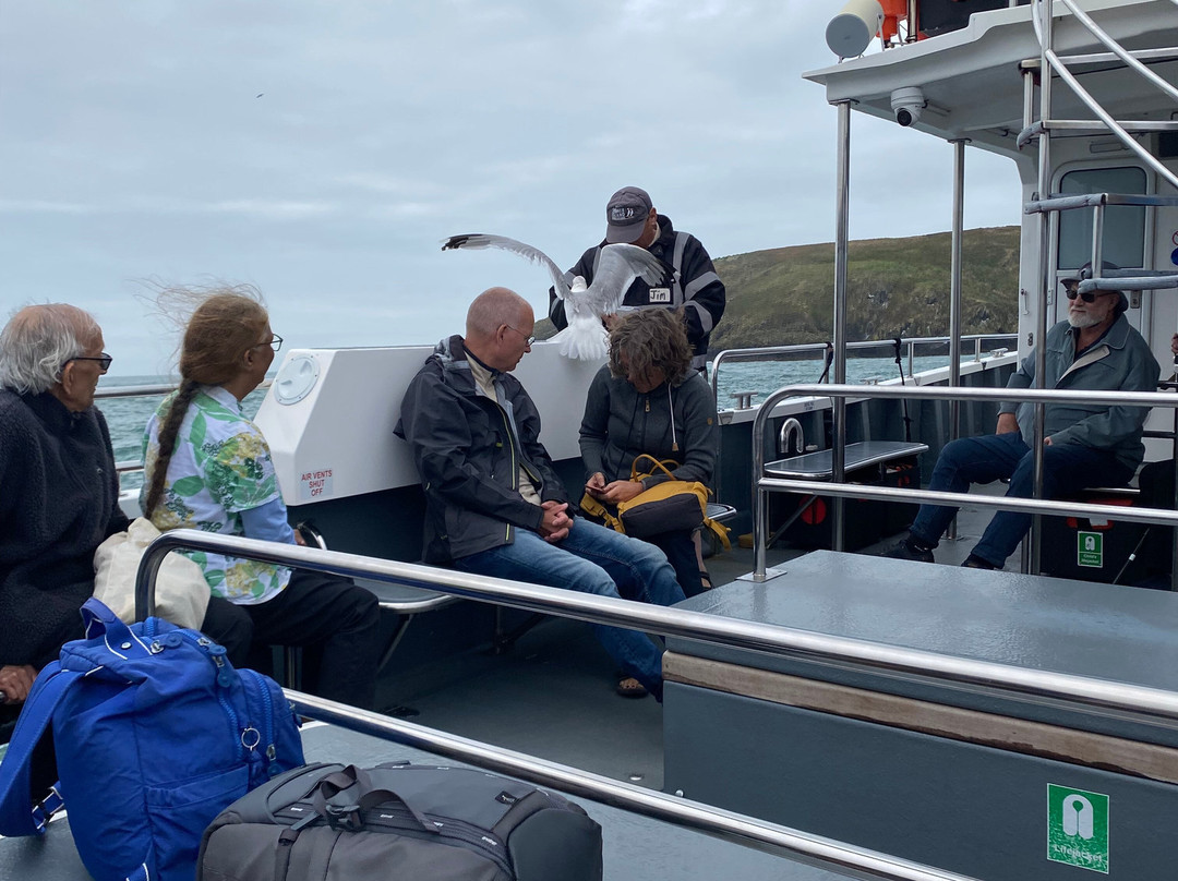 Pembrokeshire Islands Boat Trips-Marloes必去景点