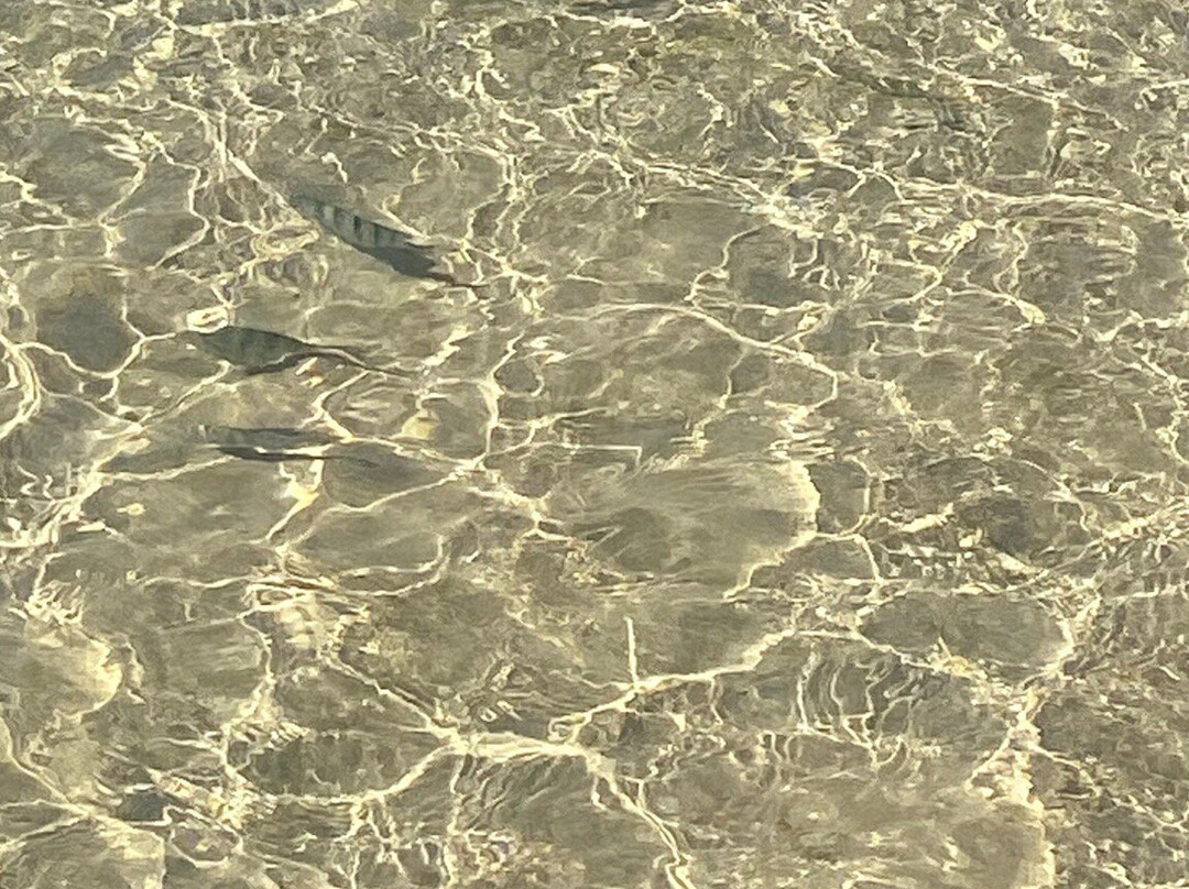 Lagoinha Beach-Bombinhas必去景点