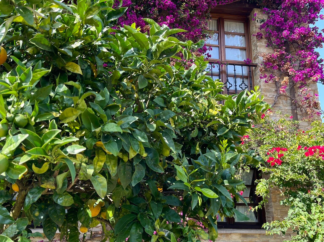 Casona de Cefontes主图