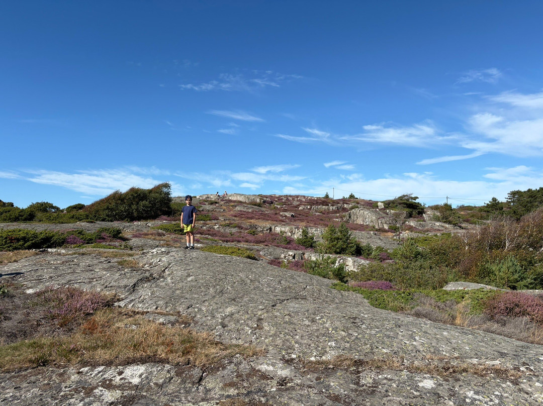 Roro naturreservat-Ockero必去景点