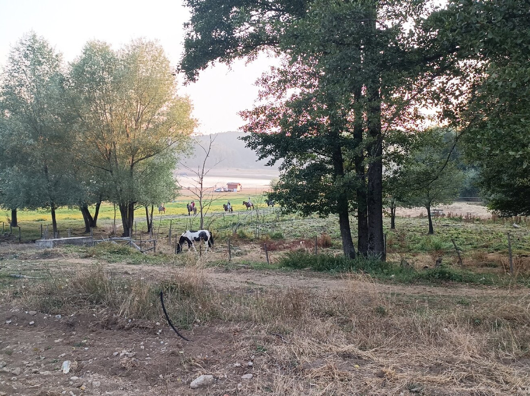 Residenza Lorica主图