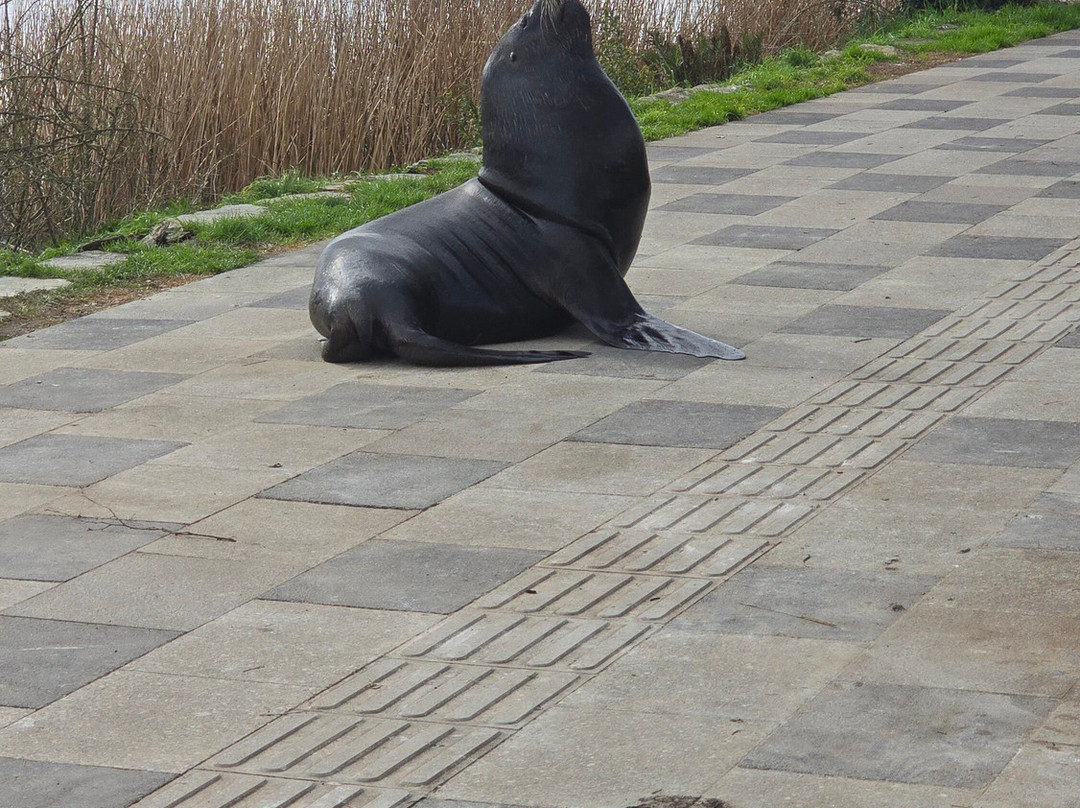 Sistema de Fuertes de Valdivia-瓦尔迪维亚必去景点