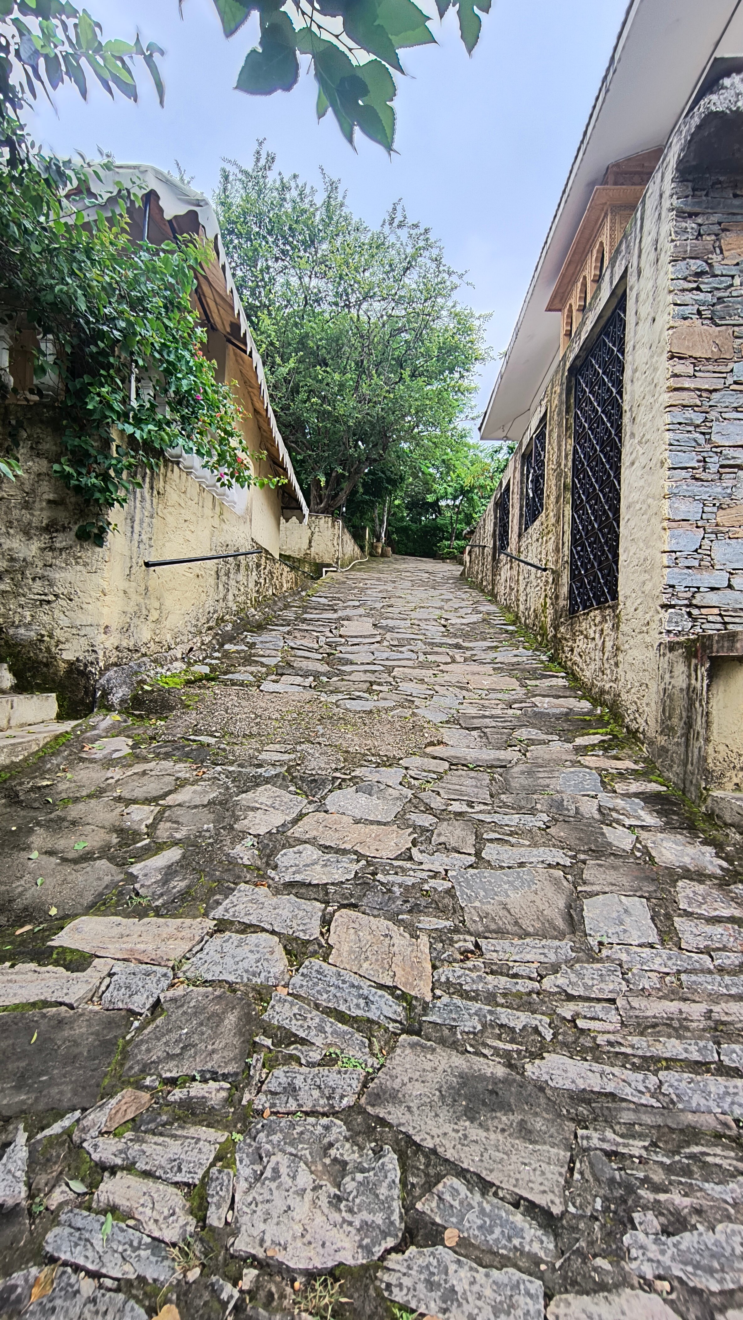 Dera Kumbhalgarh-酒店景观