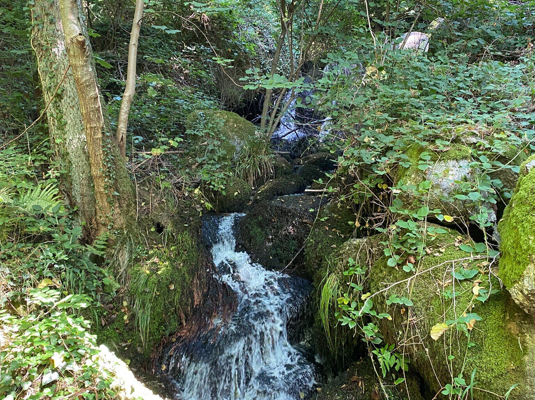 Gaishöll-Wasserfälle-Sasbachwalden必去景点