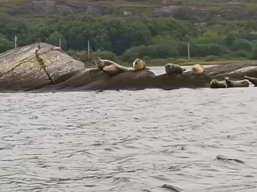 Wild Atlantic Wildlife-Adrigole必去景点