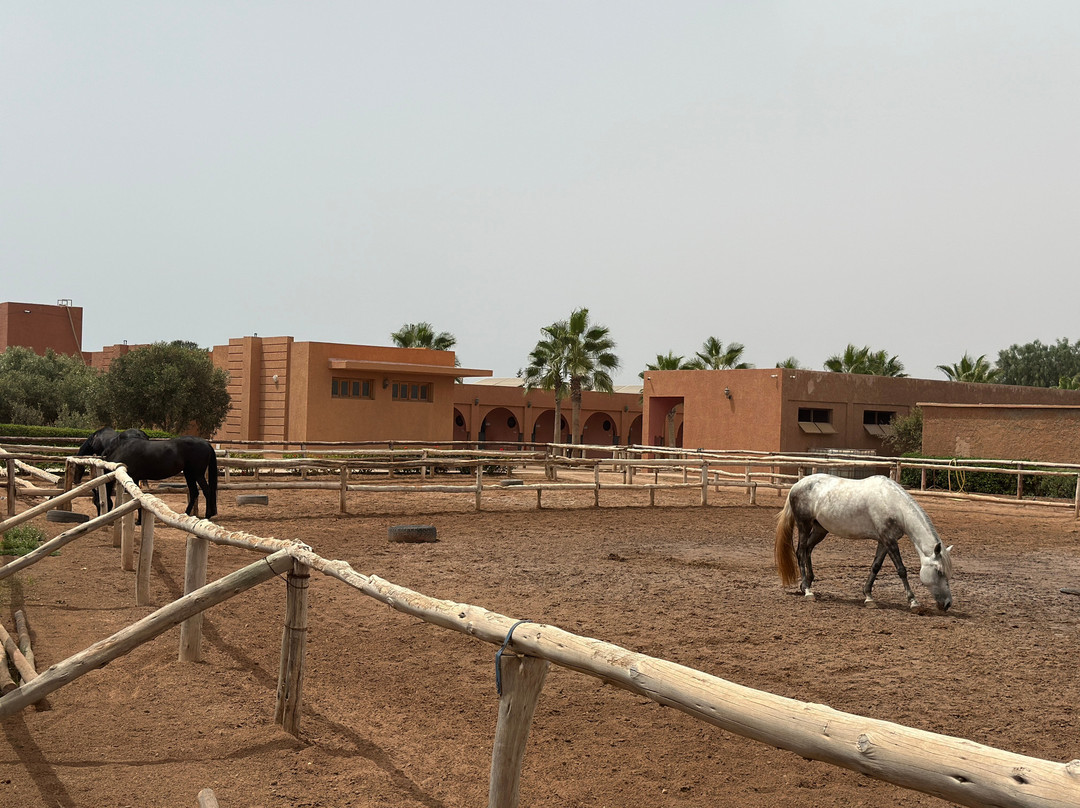 Club Equestre Lamzar-阿加迪尔必去景点