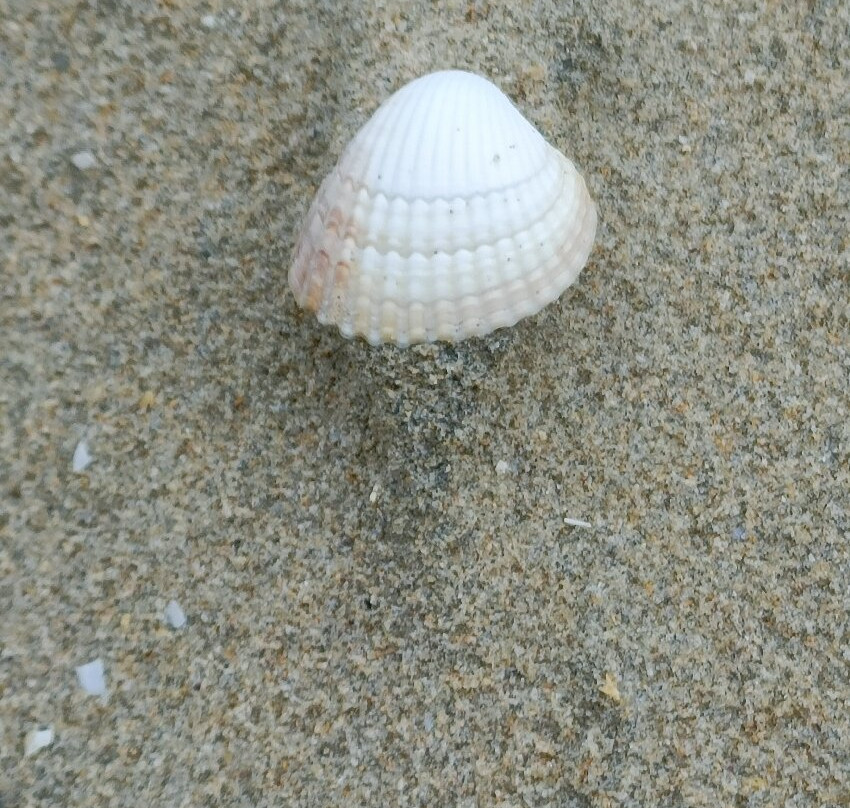Dunfanaghy Bay-Dunfanaghy必去景点