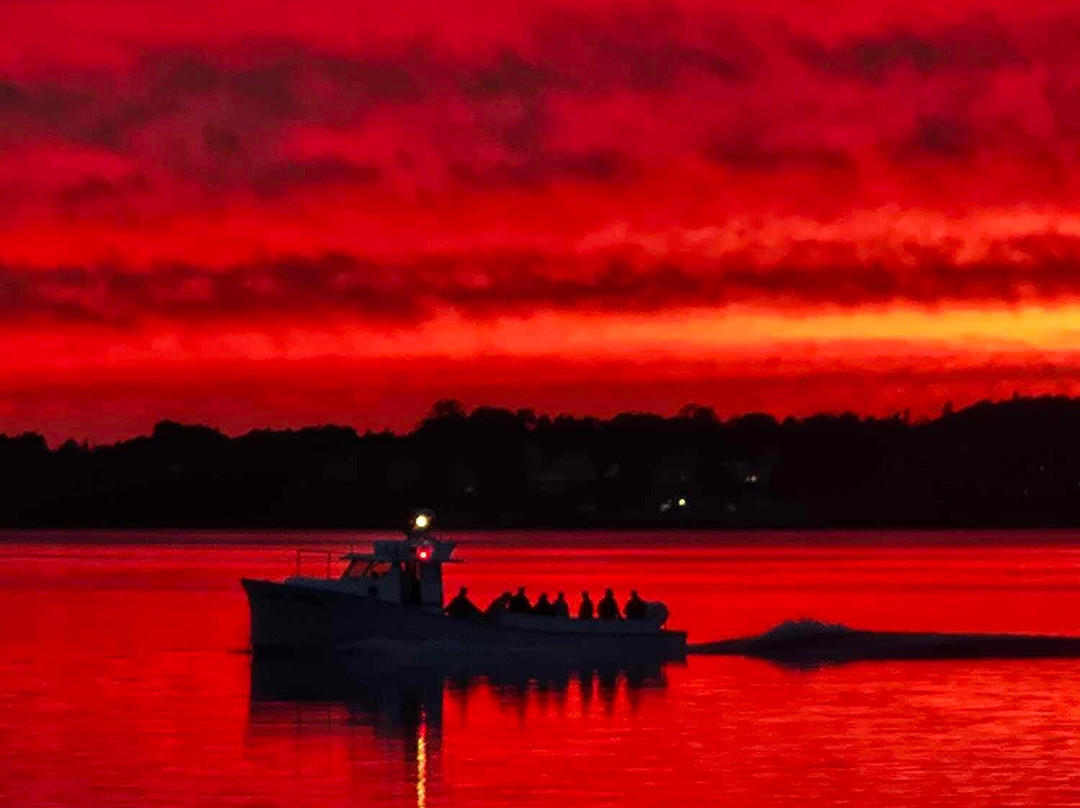 East Quoddy Tours-Campobello Island必去景点