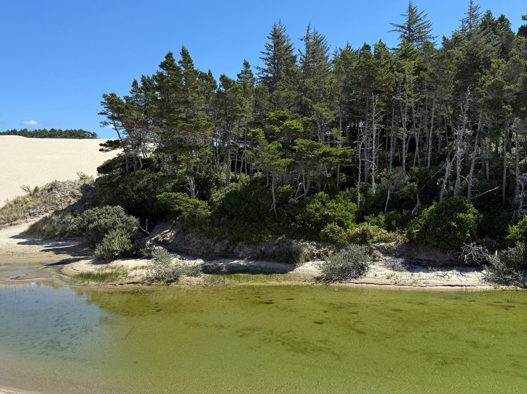 Ocean Breeze ATV Rentals-弗洛伦斯必去景点