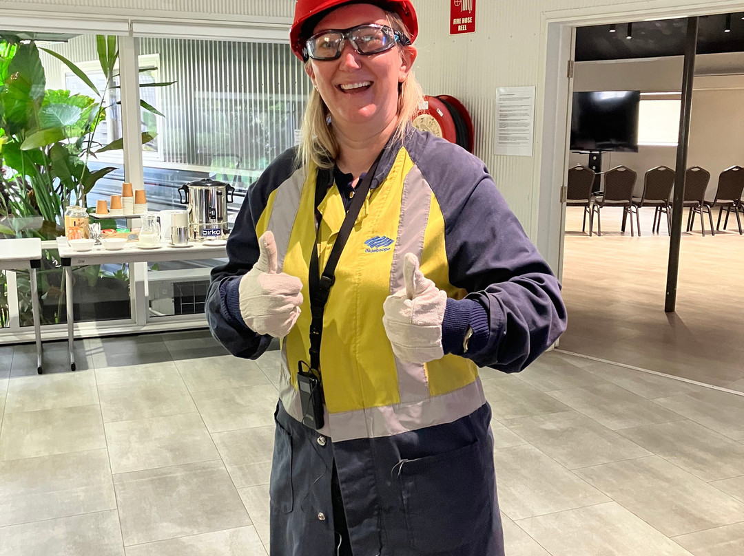 Port Kembla Steelworks Public Tour-卧龙岗市必去景点