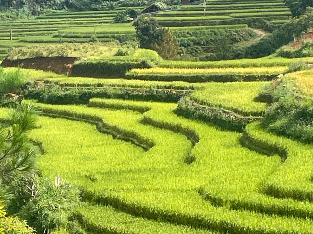 Capannam Travel-河内必去景点