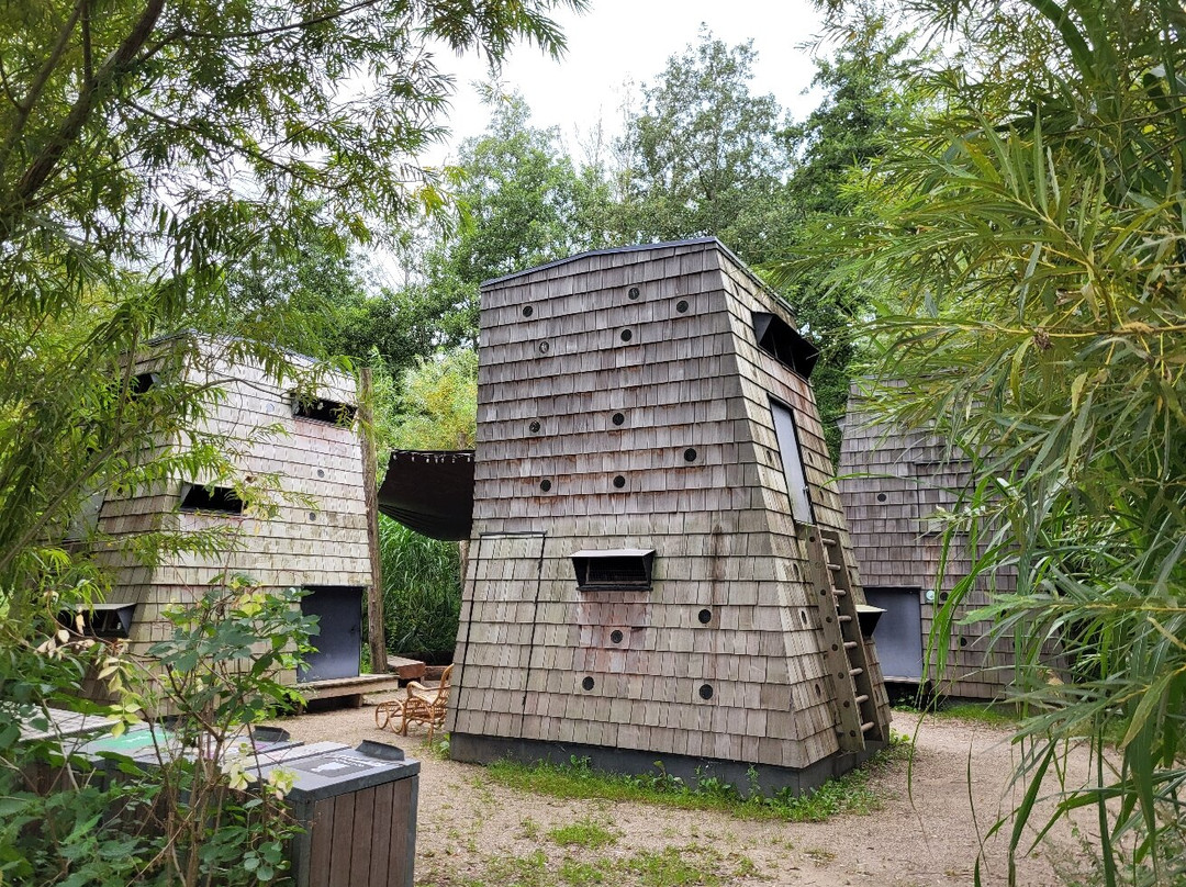 Odense Zoo-欧登塞必去景点