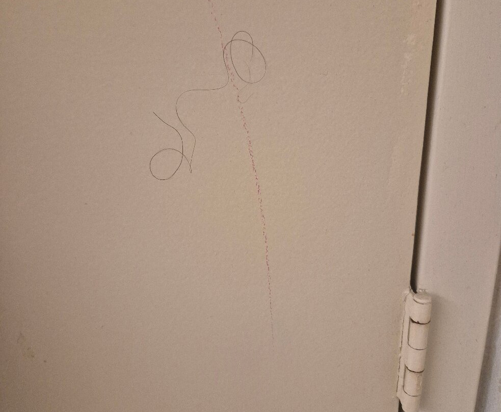 The Senator Hotel主图