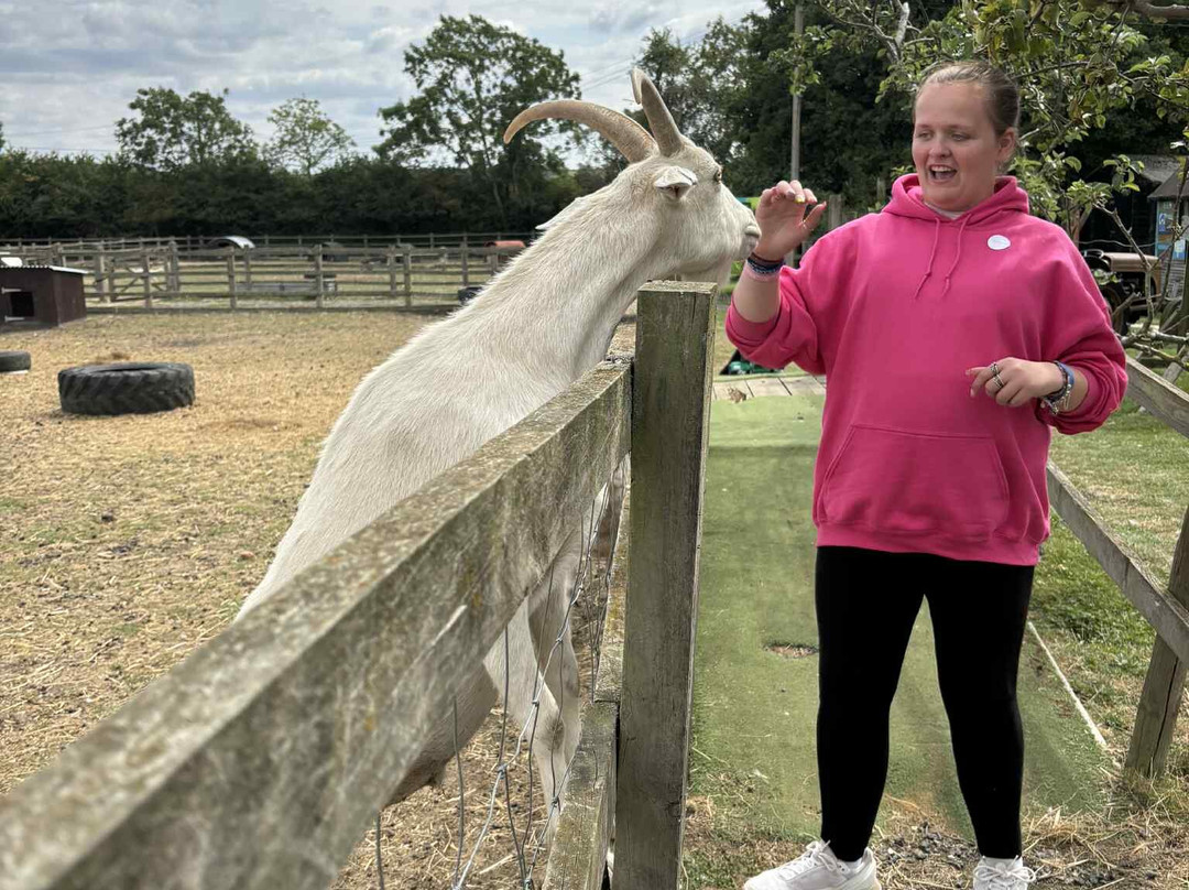 Birds of Prey Centre-Wilstead必去景点