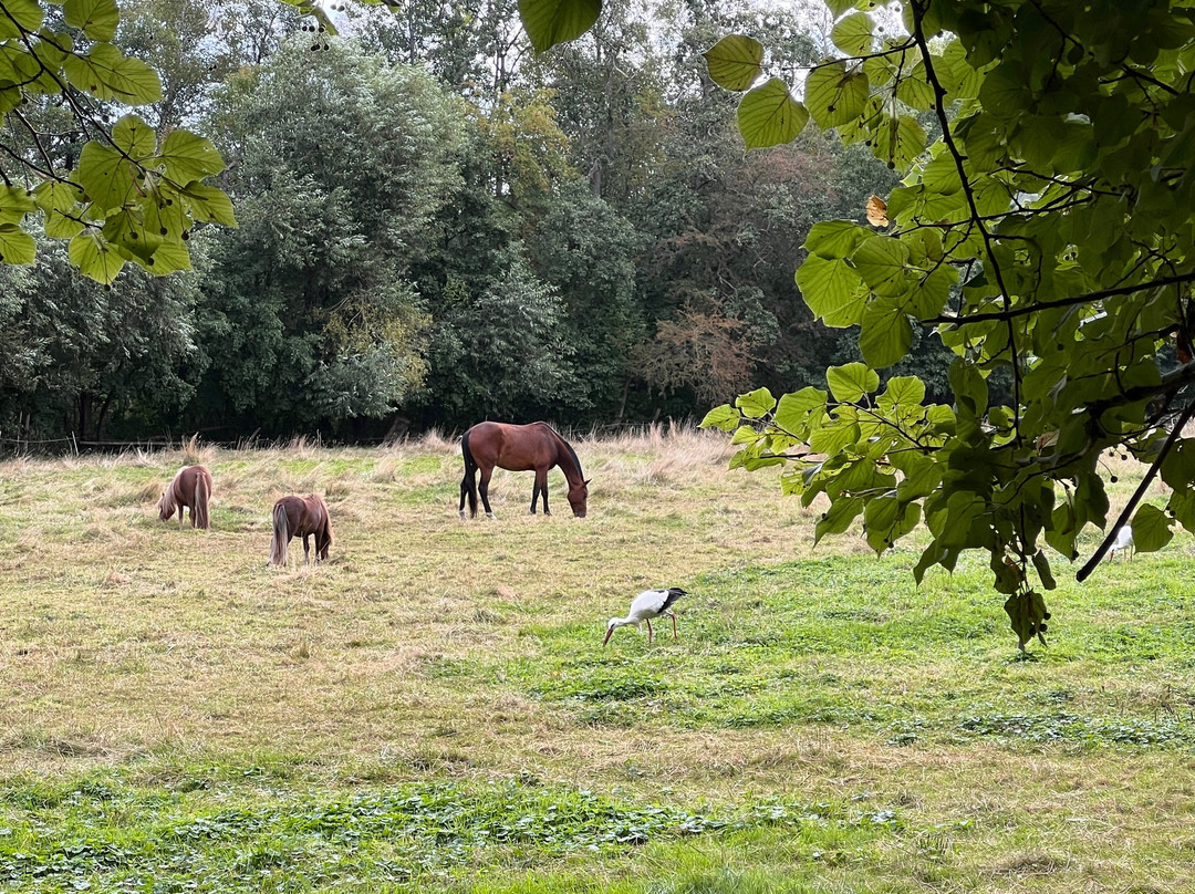 Landhaus am Schaalsee主图