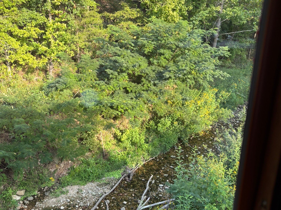 Eureka Springs & North Arkansas Railway-尤里卡斯普林斯必去景点