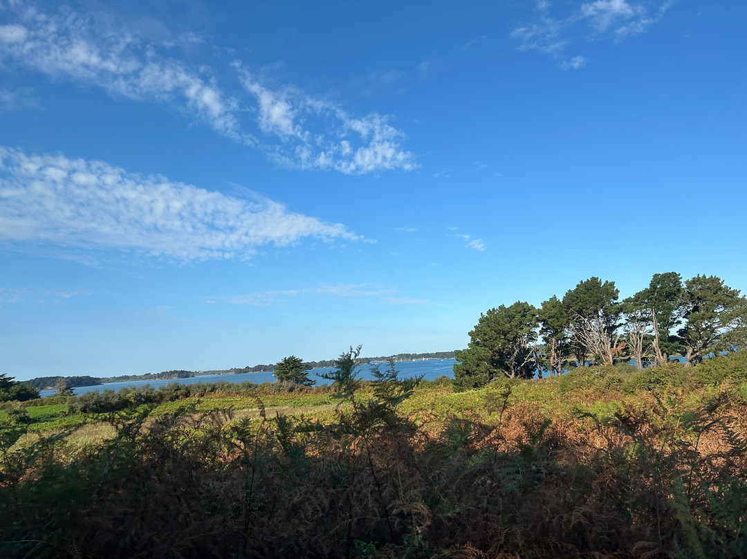 Balade en minibus L'ile aux Moines-伊尔奥穆瓦内必去景点