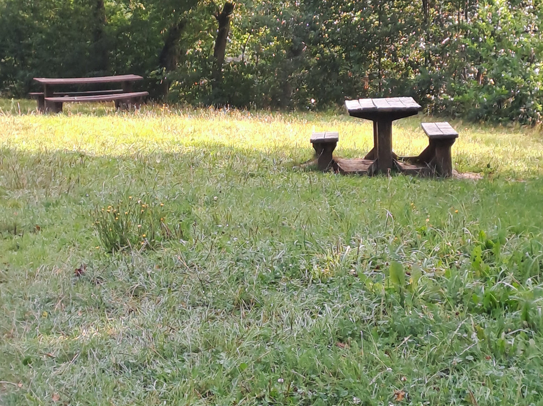 Cascade de Blangy-Hirson必去景点