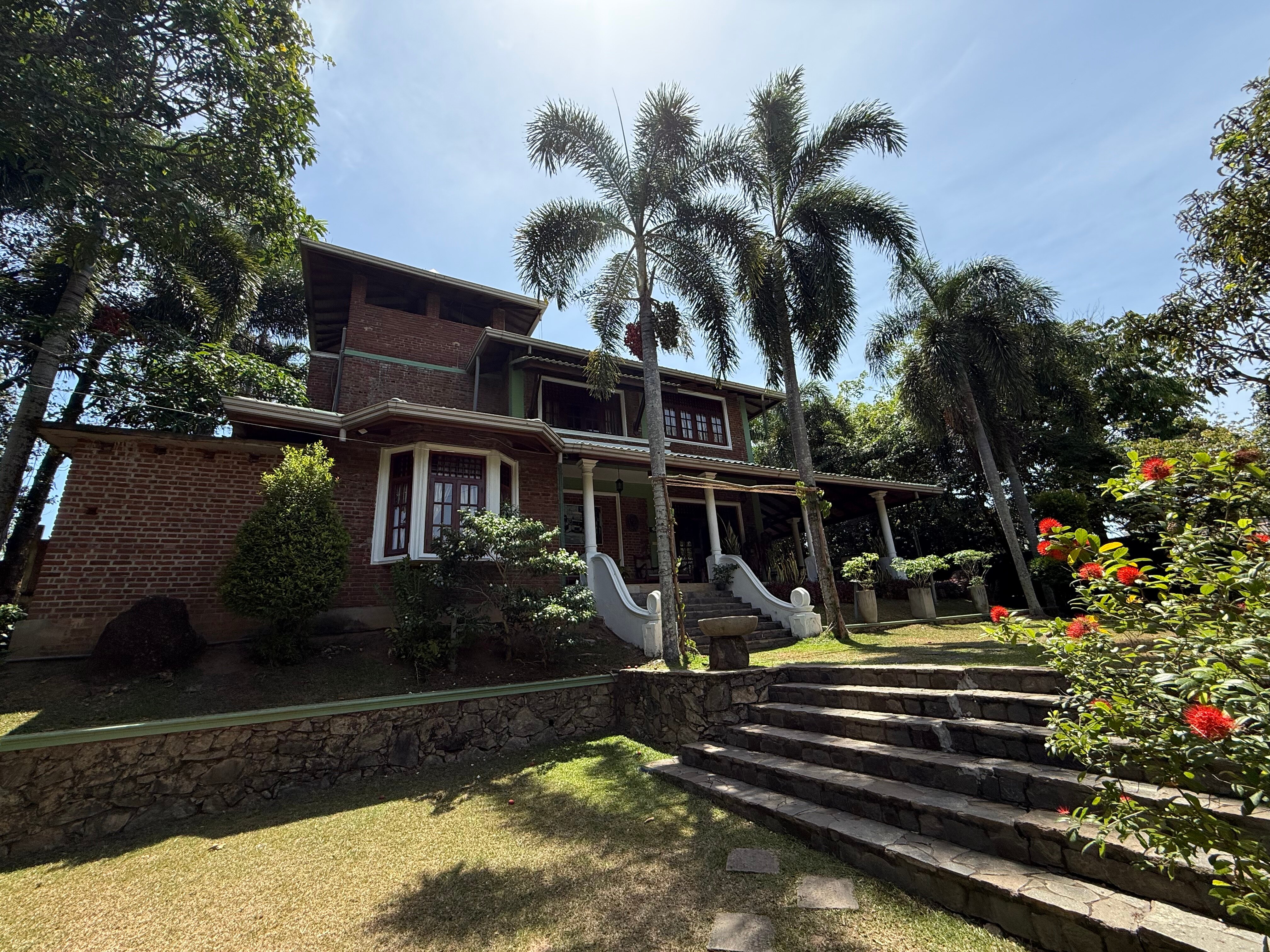 Green Olive Villa-官方