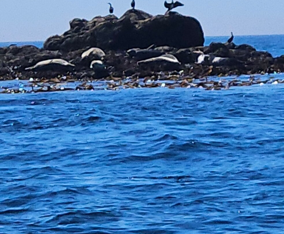 Archipel Excursions-勒孔凯必去景点