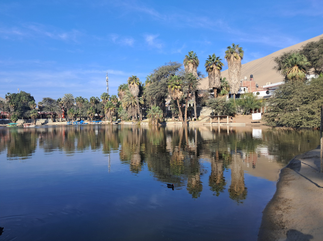 Cultura Viva Travel Agency-马丘比丘必去景点