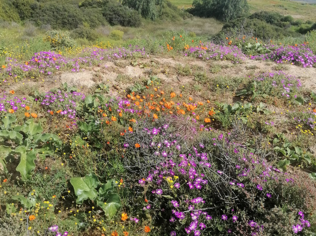 Pondo Tours, Wild Coast, South Africa-Port Edward必去景点