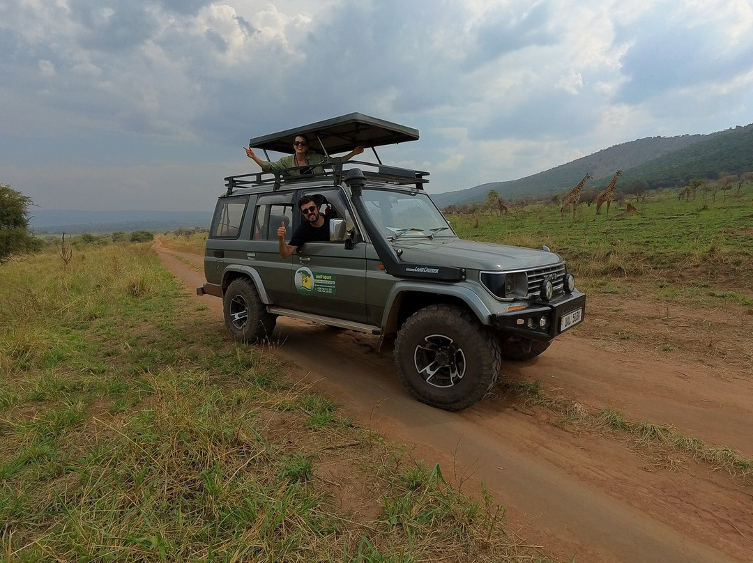 Antique Safari Adventures-恩德培必去景点