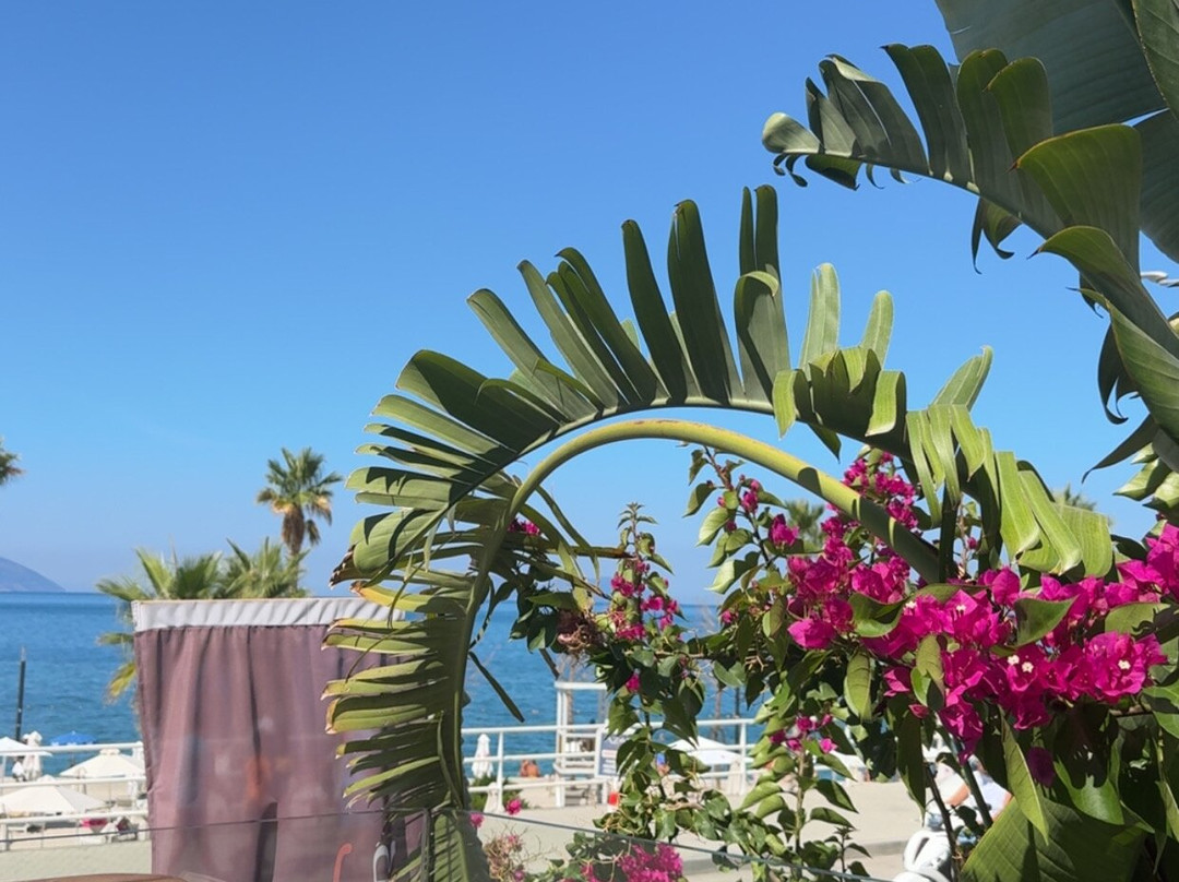 Azar Luxury Suites