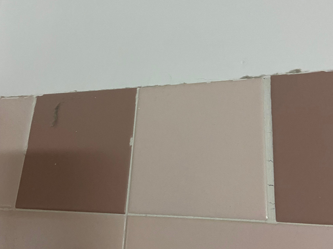 Europa Palace Hotel主图