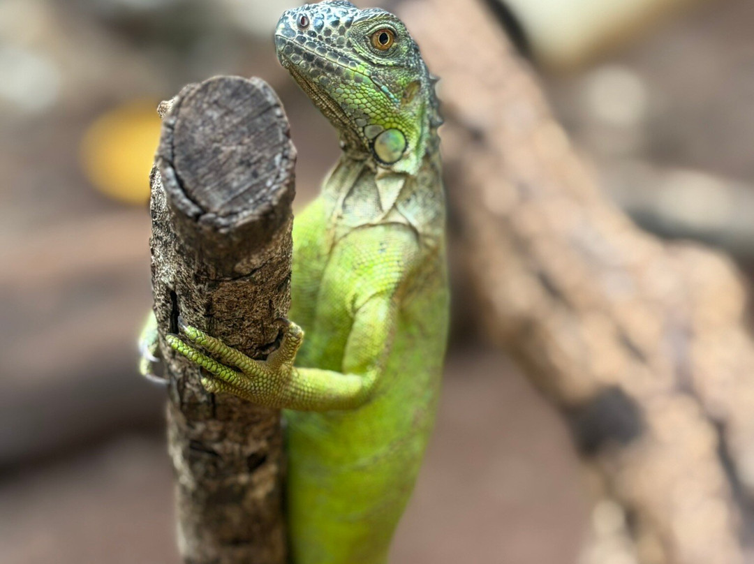 Toolok kaa'n-从莫雷洛斯港必去景点