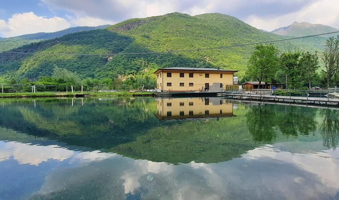 Piscicoltura Valsassinese