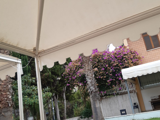 Centro Vacanze Domus M.G.主图