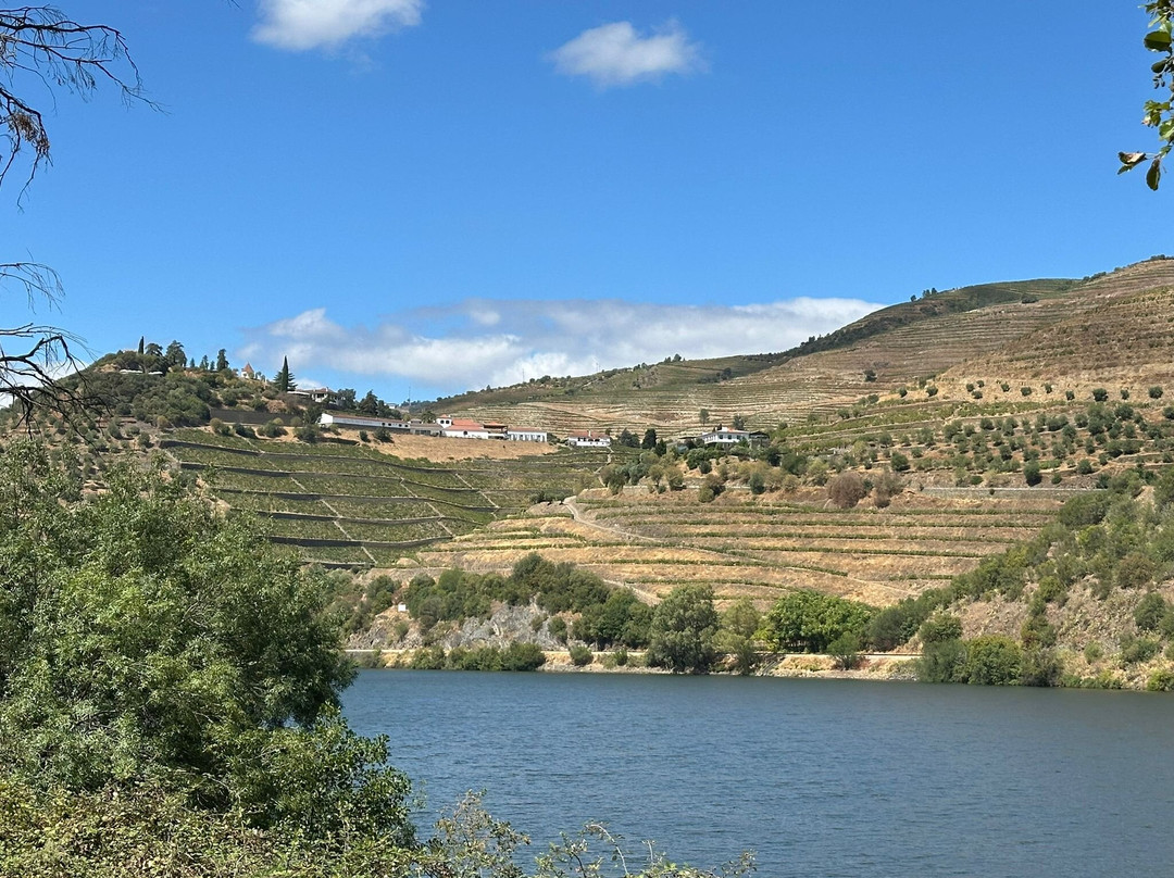 Jorge Miguel Matias - Wine & Tours-Pinhao必去景点